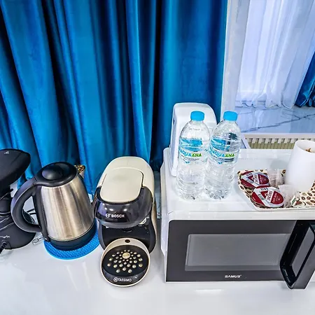 Daire Iancu Jianu Premium Studio2 Bükreş