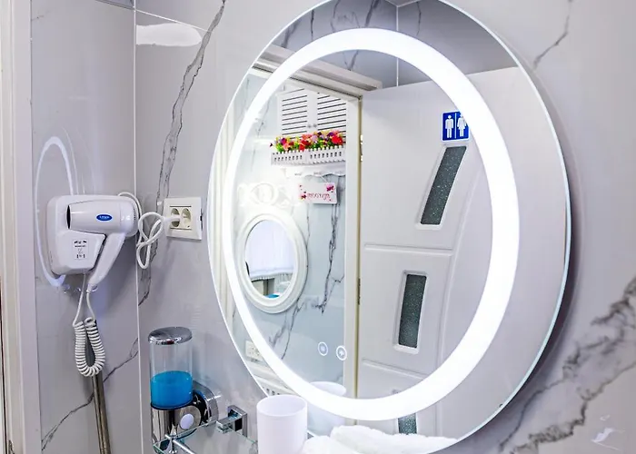 Apartament Iancu Jianu Premium Studio2 *